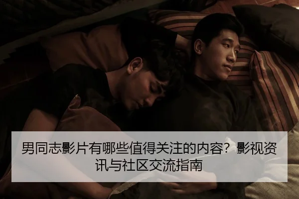 男同志影片有哪些值得关注的内容？影视资讯与社区交流指南
